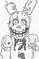 Freddy Nights Five Springtrap Coloring Pages Drawing Freddys Fnaf Spring Draw Trap Color Printable Foxy Example Season Template Sketch Finished sketch template