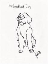 Newfoundland Drawings sketch template