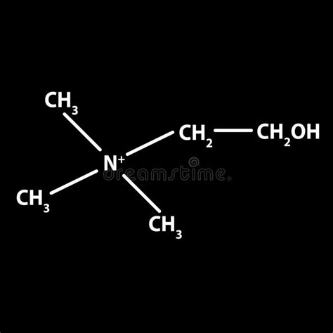 vitamin  choline molecular chemical formula infographics vector illustration  isolated