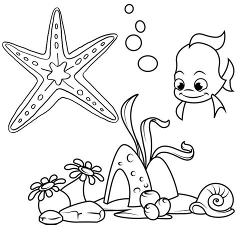 beautiful starfish undersea creature coloring page