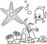 Coloring Starfish Beautiful Creature Undersea Pages Wow Children These sketch template