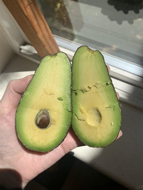 perfectly ripe tiny seed avocado roddlysatisfying