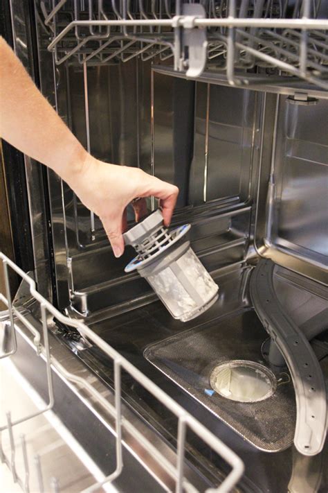 dishwasher photo  guides cleaning  dishwasher filter