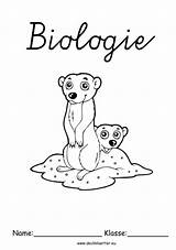 Deckblatt Biologie Tiere Vorlage Mikroskopische Herunterladen sketch template