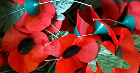 Remembrance Day Poppies Aren T Really Offending Anyone Huffpost Uk