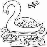 Swan Coloring Pages Getcolorings Lake Color Print Printable sketch template