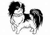 Tzu Shih Coloring Dog Pages Small Dogs Clipart Chin Japanese Papillon Breed Line Cute Clip Japan Drawing Pixabay Svg Animals sketch template