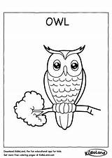 Owl Coloring Worksheets Worksheet Kidloland Printable Kids Printables sketch template