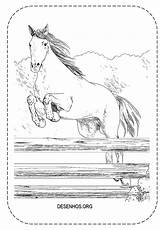 Colorir Cavalos Realistas Cavalo sketch template