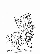 Algas Marinas Seaweed Pesce Pesci Tropicali Angelfish Peces Printmania sketch template