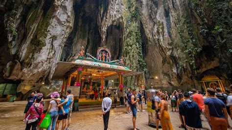 batu caves  holiday homes  nz night bookabach