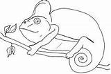 Chameleon Coloring Pages Tangled Pascal Disney Color sketch template