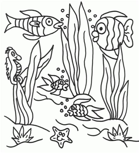 underwater scene coloring pages   underwater scene