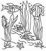 Coloring Underwater Pages Sea Under Scene Ocean Printable Seaweed Colouring Drawing Landscape Plants Clipart Animals Easy Sheet Print Color Floor sketch template