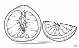 Pomelo Coloring Pages Sliced Open Fruits Drawing Notekins Template Printable Supercoloring sketch template