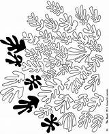 Matisse Coloring Henri Goldfish Dover Doverpublications Museums Malbücher sketch template