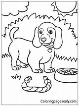 Dog Coloring Weiner Pages Puppy Color Drawing Printable Kids Getcolorings Print Getdrawings sketch template