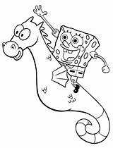 Seahorse Mewarnai Sponge Squarepants Anak Halaman Ausmalbilder Templates Squidward Krabs Stumble Cliparts Drucken Raskrasil User sketch template