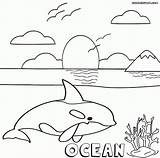 Coloring Ocean Pages Kids Print Everfreecoloring sketch template
