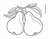 Colorir Peras Pera Mewarnai Owoce Pears Kolorowanki Gruszka Desenhos Arvore Fruits Buah Kolorowanka Pear Frutas Pere Verduras Colorat Riscos Bordar sketch template