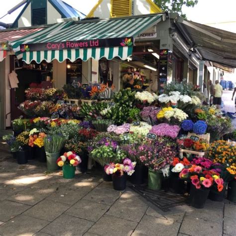 flowers  plants norwich market