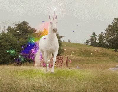 magestic unicorn gif magestic unicorn legends  tomorrow discover  share gifs