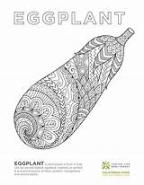 Eggplant Ecoliteracy sketch template