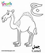 Arabic Coloring Alphabet Pages Letter Kindergartners Teaching Kindergarten sketch template