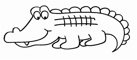 alligator template printable lovely baby alligator  python coloring