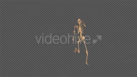 skeleton sexy dance rapid download videohive 18743642