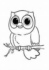 Sova Tulamama Owls Colouring Bojanke Branch sketch template