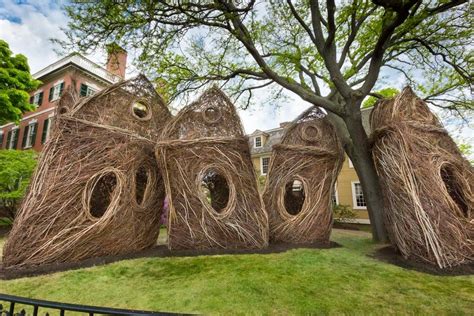 peabody essex museum commissions   outdoor installation stickwork  patrick dougherty