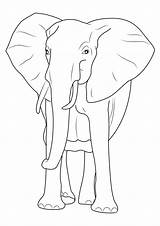 Colorare Elefanti Disegni Pianetabambini Elefante Singolarmente Versione sketch template