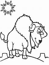 Noon Coloring Bison Standing sketch template