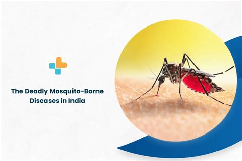deadly mosquito borne diseases  india ayu health