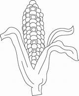 Coloring Corn Indian Pages Popular Library Printables sketch template