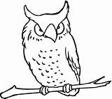 Coloring Pages Owl Owls Screech Books Book Printable Choose Board Pattern Illustration sketch template