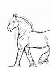 Horse Realistic Drawing Coloring Pages Paint Horses Draw Looking Getdrawings Easy Sketch Watercolors Pencils Crayons Markers Chose Colored sketch template