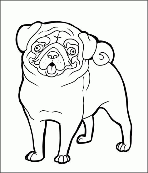 pug puppy coloring page   pug puppy coloring page png