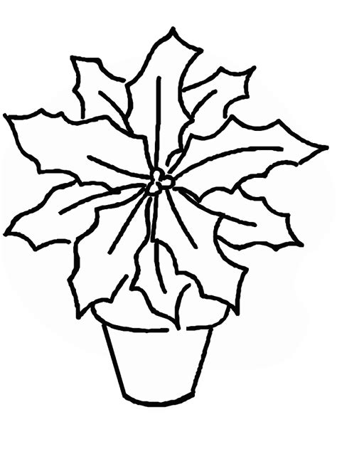 poinsettia coloring page coloring home