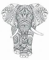 Coloring Pages Elephant Complex Mandala Printable Animal Head Adults Color Getcolorings Getdrawings Colorings Elephants sketch template