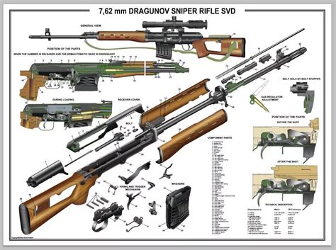 svd dragunov   popular combat sniper rifle