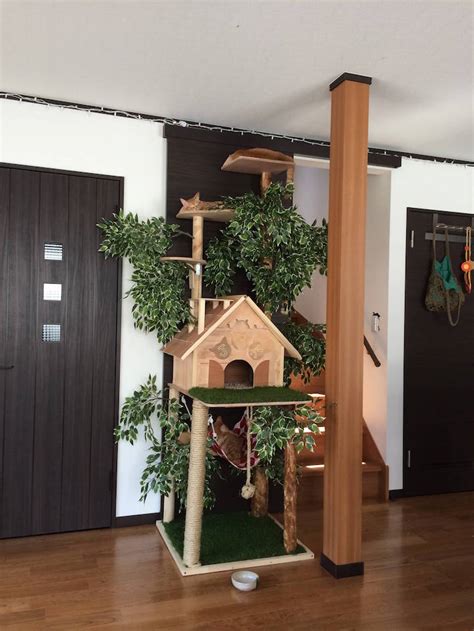 diy cat tree offers alternative  conventional scratching posts  beds