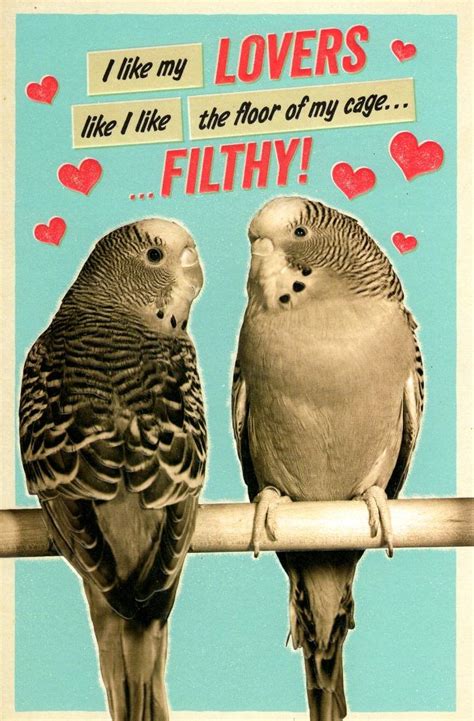 Funny Filthy Lovers Valentine S Day Greeting Card Cards