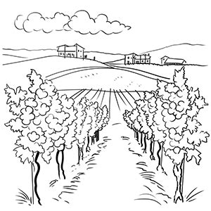 vineyard coloring pages coloring corner