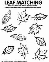 Leaf Fall Leaves Matching Coloring Game Printable Pages Kids Match Lady Old There Swallowed Preschool Some Activities Who Color Autumn sketch template