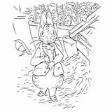 Peter Rabbit Coloring Book Stories Classic Amazon Tale Dover He sketch template