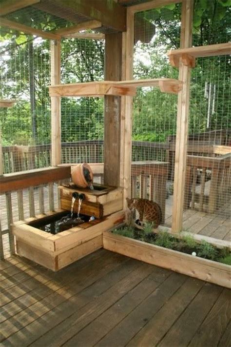 cat fencing catio ideas secured cat garden design outdoor cat