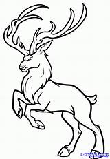 Deer Coloring Pages Baby Buck Drawing Draw Realistic Simple Reindeer Stag Drawings Mule Clipart Easy Test Gif Animals Step Printable sketch template