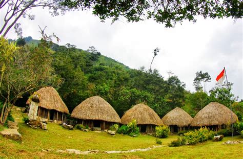 mempelajari tradisi unik rumah adat honai asal papua indonesia alam pedia